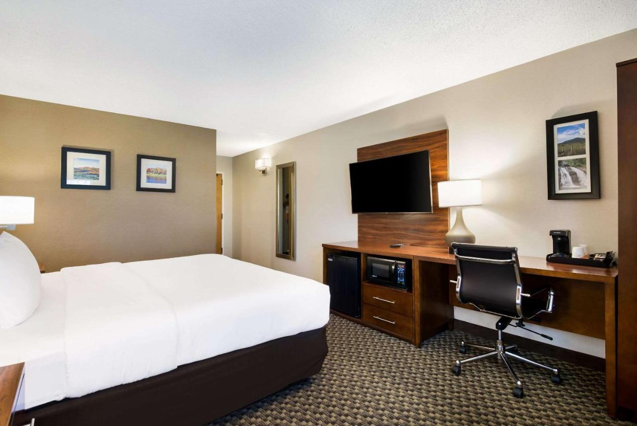 Comfort Inn Virginia Horse Center Lexington Esterno foto